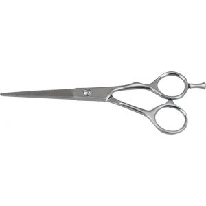 Hair Dressing Shears