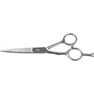 Hair Dressing Shears