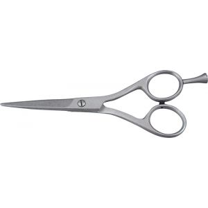 Hair Dressing Shears