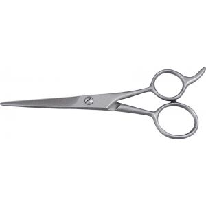 Hair Dressing Shears