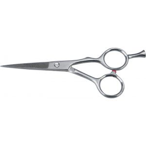 Hair Dressing Shears