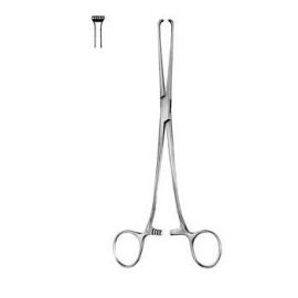 Holding Forceps Allis