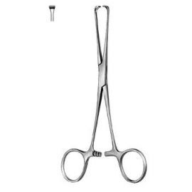 Holding Forceps Boys-Allis