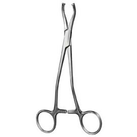 Oral Instruments