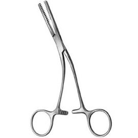 Oral Instruments